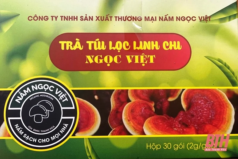 Quyết tâm phát triển sản phẩm OCOP từ cây nấm