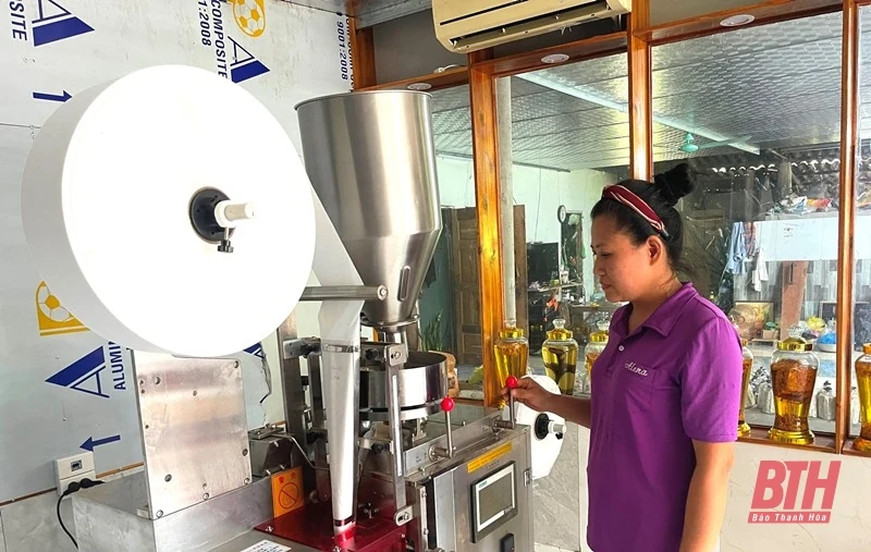 Quyết tâm phát triển sản phẩm OCOP từ cây nấm