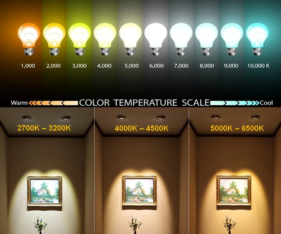 Khi mua đèn pha led cần lưu ý điều gì