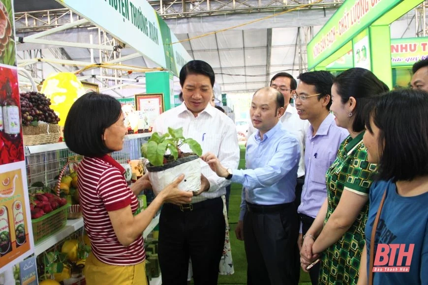 Phó Chủ tịch UBND tỉnh Lê Đức Giang kiểm tra trưng bày các gian hàng kết nối cung cầu nông sản, thực phẩm an toàn tỉnh Thanh Hóa 2022