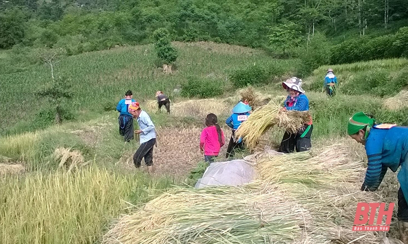”Ngọn đuốc” soi đường cho đồng bào dân tộc Mông ở Mường Lát