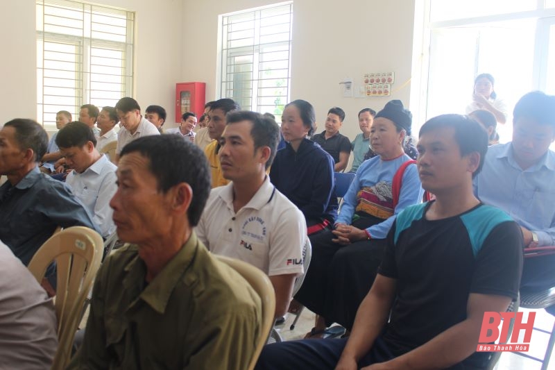 Cử tri huyện Mường Lát kiến nghị đầu tư một số tuyến đường và thay thế cây xoan trồng không phát huy hiệu quả