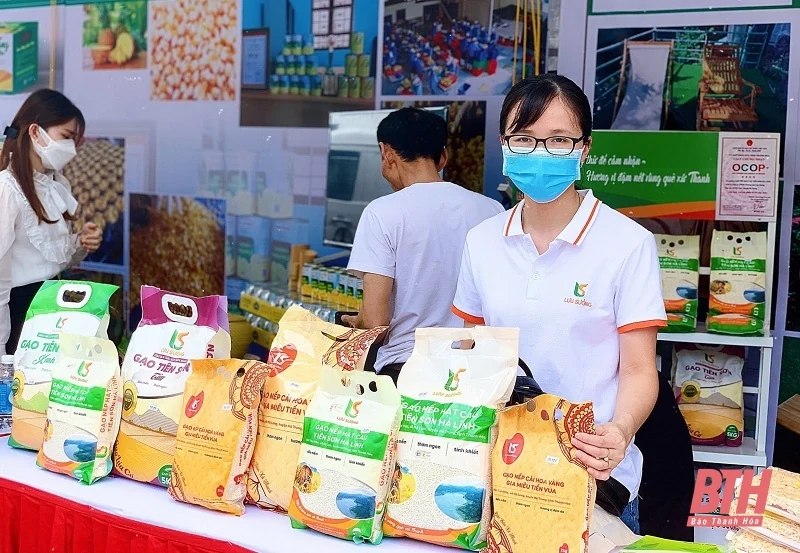 Toàn tỉnh phát triển được khoảng 5.000 ha lúa nếp đặc sản