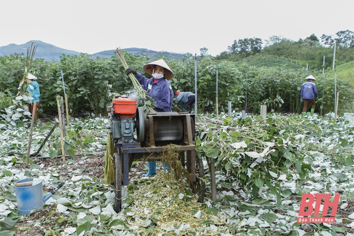 “Điểm nghẽn” trong thực hiện các chính sách hỗ trợ phát triển nông nghiệp