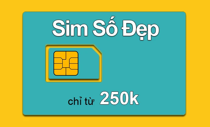 Simhuyenmy.com - Chặng đường dài nỗ lực phát triển