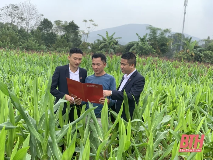 Khẳng định vai trò chủ lực trong lĩnh vực đầu tư tín dụng cho nông nghiệp, nông dân, nông thôn