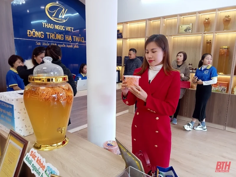 Đông trùng hạ thảo Thảo Ngọc Việt khai trương showroom tại TP Thanh Hoá