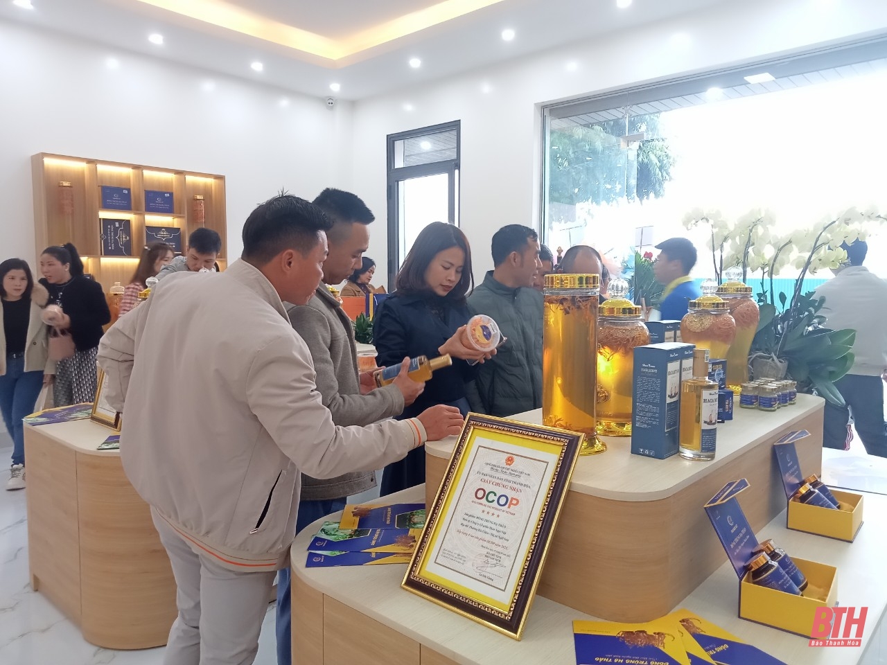 Khai trương showroom Đông trùng hạ thảo Thảo Ngọc Việt tại Sầm Sơn