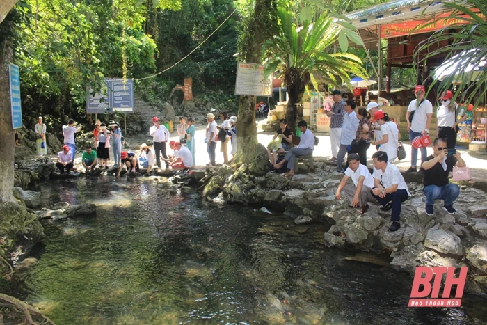 Trải nghiệm tour “lên rừng, xuống biển” đầu xuân