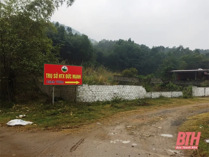 Yên Định: Sớm quan tâm đối thoại, làm rõ những thắc mắc của người dân trong việc thu hồi đất rừng sản xuất