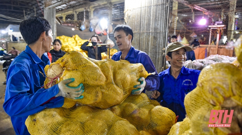 Đêm giáp tết ở chợ đầu mối lớn nhất xứ Thanh