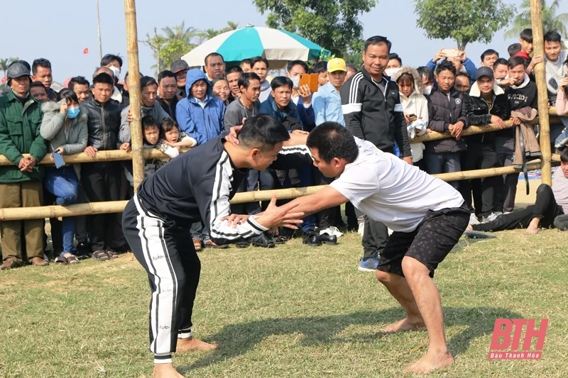 Tưng bừng Hội vật truyền thống xã Hoằng Phong