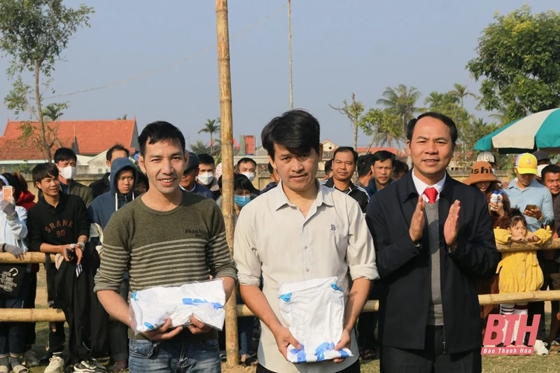 Tưng bừng Hội vật truyền thống xã Hoằng Phong