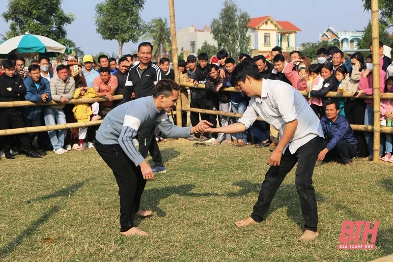 Tưng bừng Hội vật truyền thống xã Hoằng Phong