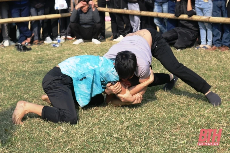 Tưng bừng Hội vật truyền thống xã Hoằng Phong