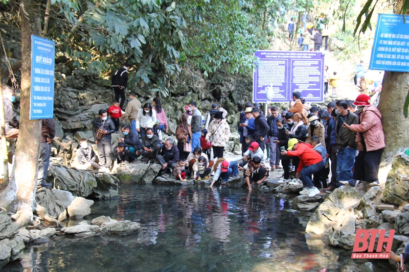 Lễ hội khai hạ suối cá thần Cẩm Lương