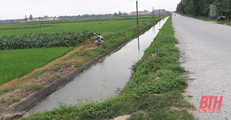 Chủ động khắc phục nguồn nước nhiễm mặn, phục vụ tưới cho sản xuất nông nghiệp