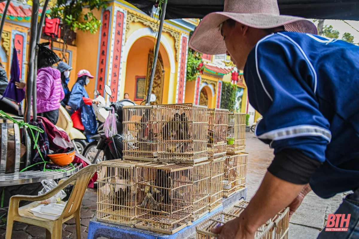Người dân xứ Thanh “đội mưa” đi chùa cầu an ngày Rằm Tháng Giêng
