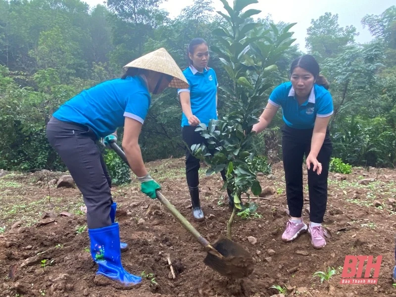 Hội LHPN huyện Hà Trung phát động Tết trồng cây tại Đàn thờ Nguyệt Nga Công chúa