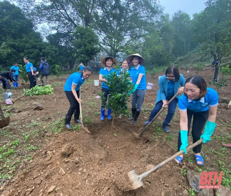 Hội LHPN huyện Hà Trung phát động Tết trồng cây tại Đàn thờ Nguyệt Nga Công chúa