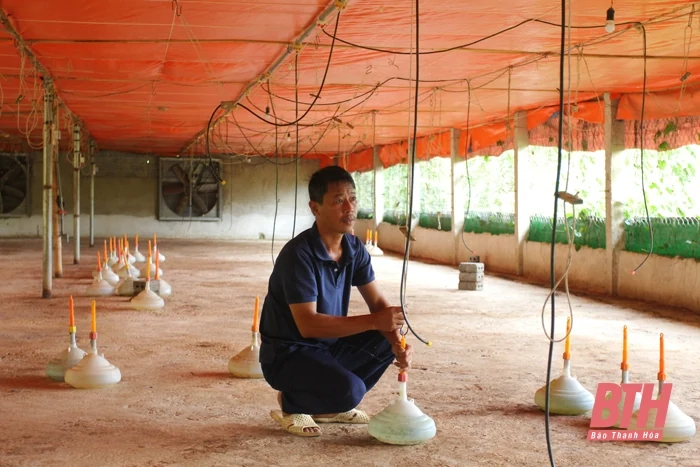 Tập trung tái đàn vật nuôi sau tết