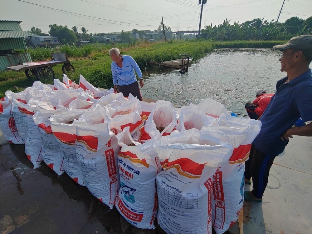 Lựa chọn thông minh cho môi trường nước trong nuôi trồng thủy sản