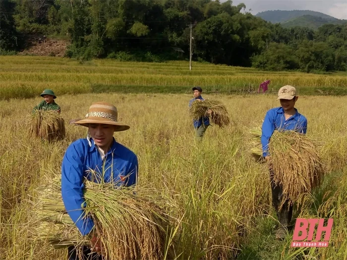 Sức trẻ nơi vùng cao Mường Lát