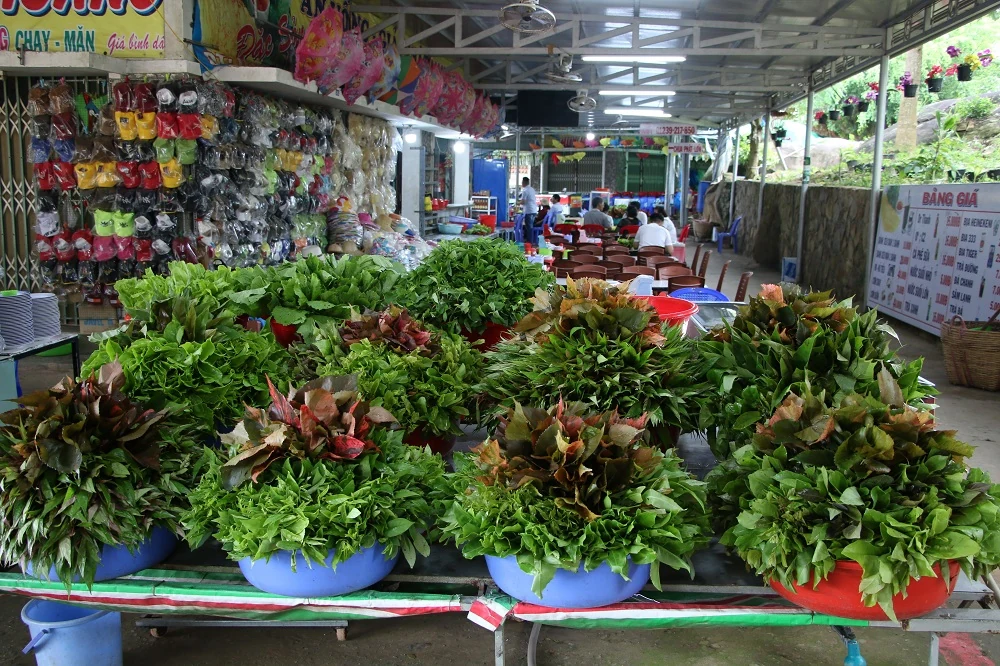 “Choáng” với thế giới rau rừng Núi Cấm