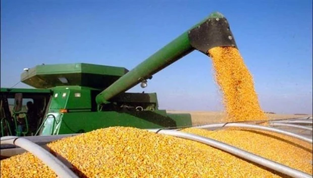 Anh gia hạn miễn thuế cho hàng hóa Ukraine đến đầu năm 2024