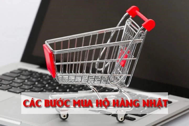Dịch vụ mua hộ hàng Nhật về Việt Nam
