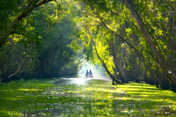 Mật Trà Sư