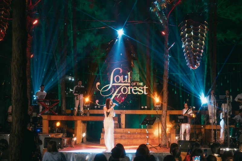 Đêm nhạc Soul of the Forest “Tình đầu” lãng mạn và đầy cuốn hút