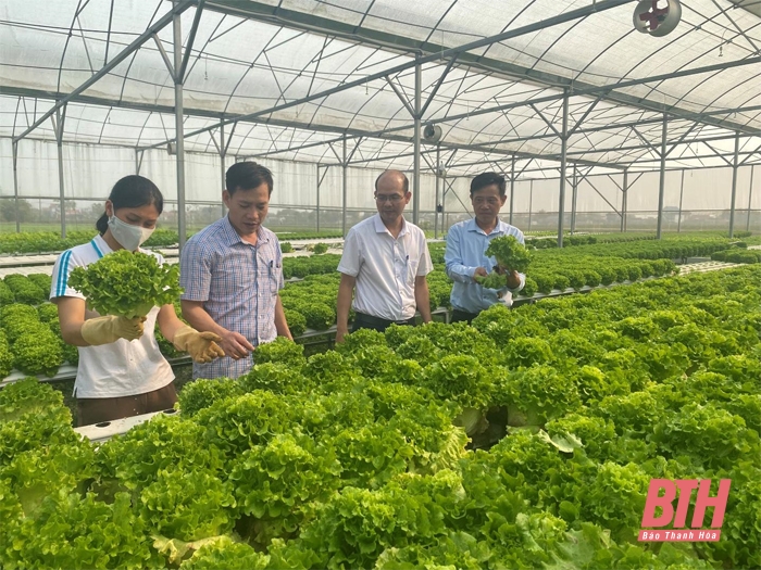 Nỗ lực phát triển kinh tế tập thể, xây dựng HTX ngày càng lớn mạnh
