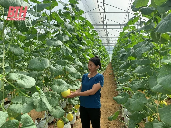 Trợ lực cho người nghèo và đối tượng chính sách