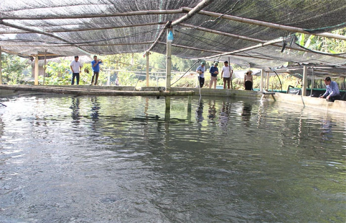 Xây dựng nông thôn mới gắn với bảo vệ an ninh biên giới ở Quan Sơn