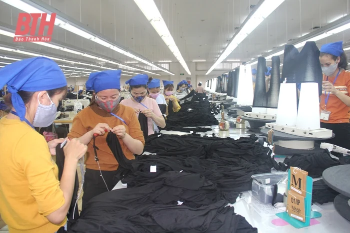 Thanh Hóa - Nhật Bản: Xây đắp niềm tin, hợp tác toàn diện: Bài 2 - Cơ hội hợp tác thương mại Thanh Hóa - Nhật Bản