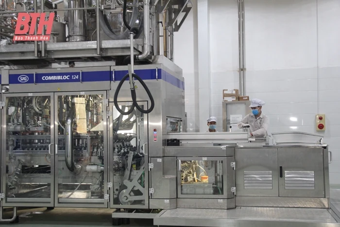Thanh Hóa - Nhật Bản: Xây đắp niềm tin, hợp tác toàn diện: Bài 2 - Cơ hội hợp tác thương mại Thanh Hóa - Nhật Bản