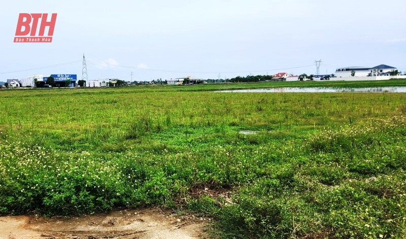 Yên Định: Sẽ cưỡng chế thu hồi đất đối với 28 hộ gia đình, cá nhân không chấp hành quyết định thu hồi đất của Nhà nước