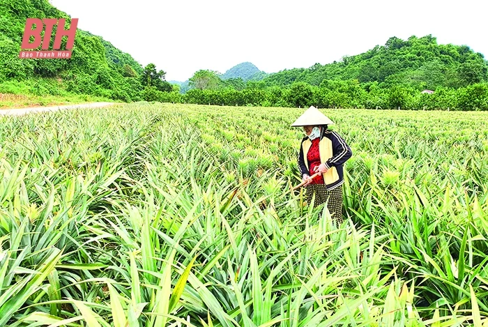 Để nghị quyết đi vào thực tiễn đời sống