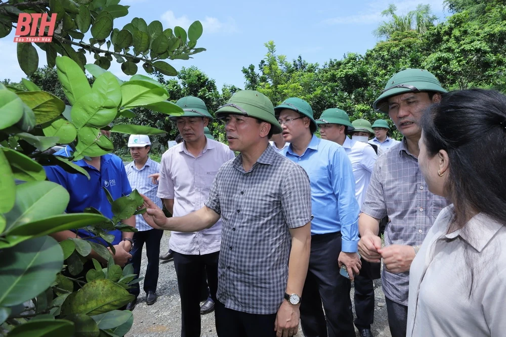 Bá Thước cần nêu cao tinh thần trách nhiệm, đổi mới tư duy, phương pháp, cách làm theo phương châm “tư duy mở, hoạt động nhanh, nói thật, làm thật, hiệu quả thật”