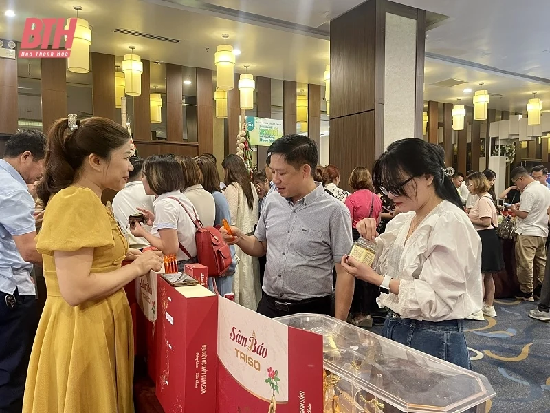Liên kết, hợp tác phát triển du lịch, kết nối tour, tuyến giữa tỉnh Thanh Hóa với các tỉnh, thành phố năm 2023