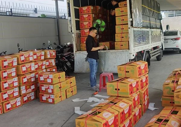 Ngành vận tải tư nhân nắm xu hướng để tạo bước tăng trưởng nhảy vọt