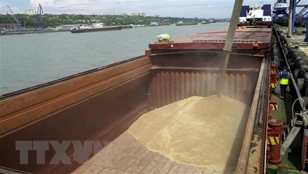 Mỹ sẵn sàng cho khả năng Nga không gia hạn Thỏa thuận Ngũ cốc Biển Đen