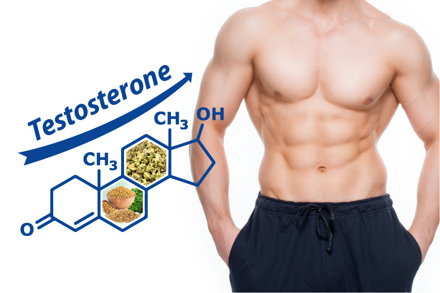Giải pháp từ thiên nhiên cho nam giới suy giảm Testosterone