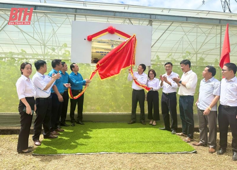 Gắn biển công trình chào mừng Đại hội Công đoàn tỉnh Thanh Hoá