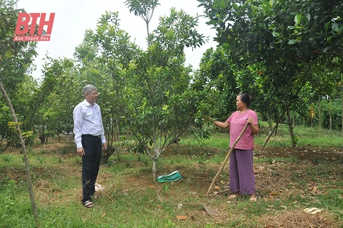 Thạch Thành phấn đấu đến năm 2025 trở thành huyện nông thôn mới