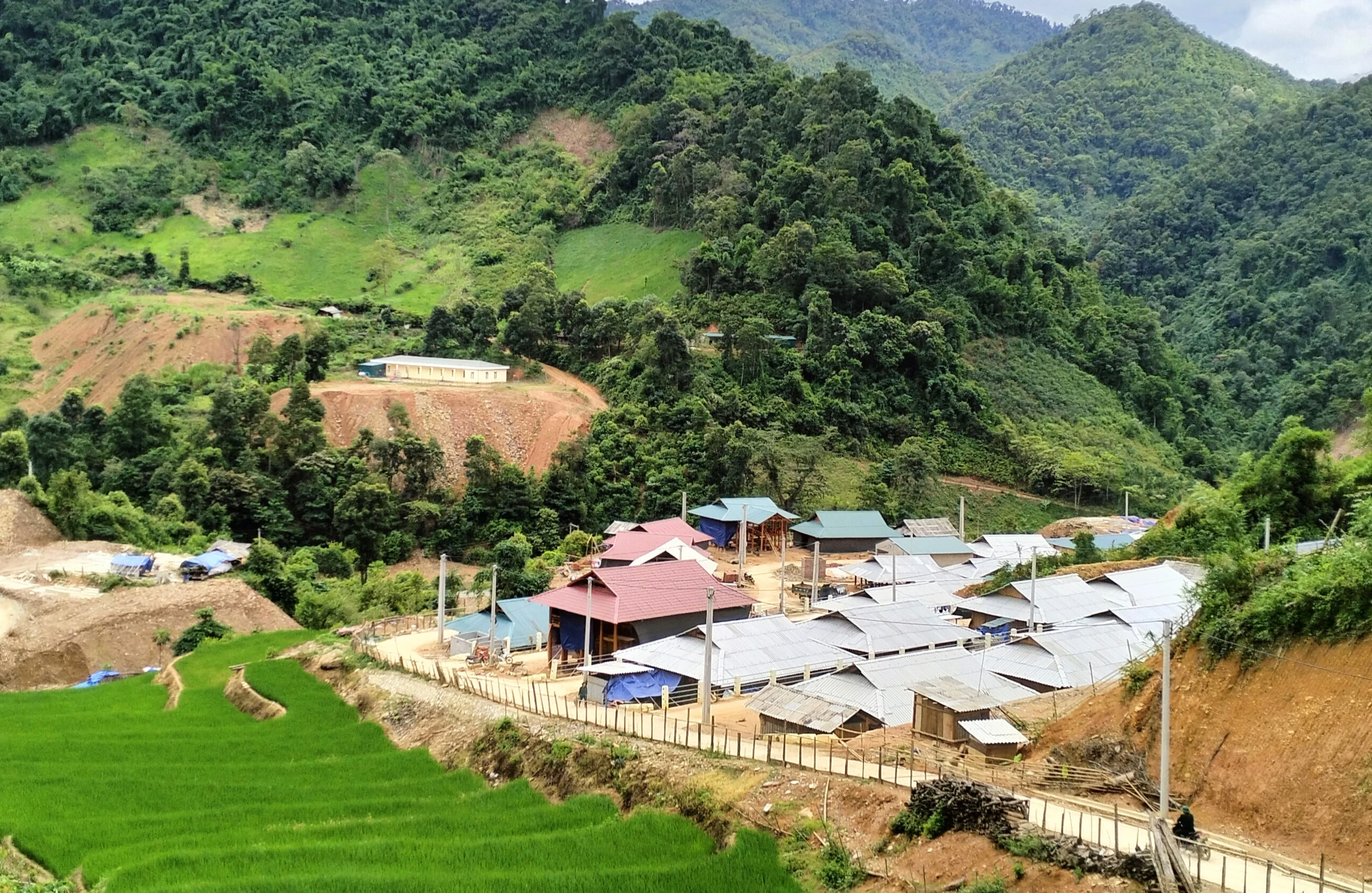 Đầu xanh nào có tội gì...