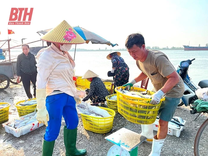 Thúc đẩy phát triển dịch vụ hậu cần nghề cá
