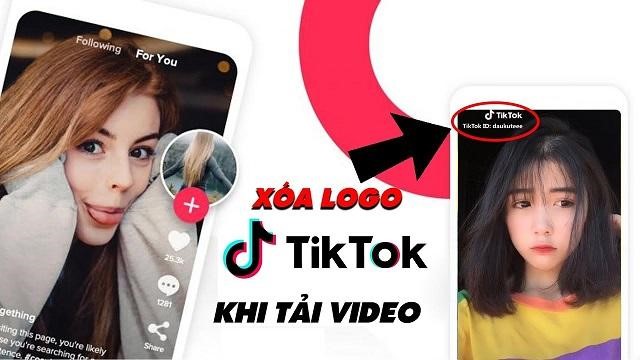 Tải video TikTok không logo siêu đơn giản với công cụ LoveTik