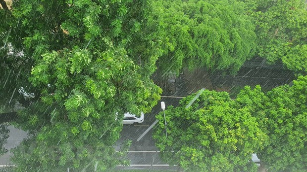 Từ đêm 14-15/9, khu vực Thanh Hóa có mưa vừa, mưa to